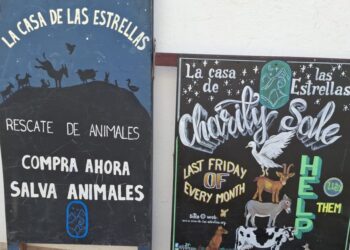 Casa de las Estrellas August charity sale
