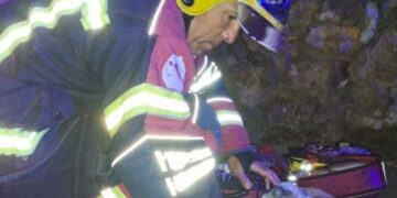 Cat rescued from house fire
