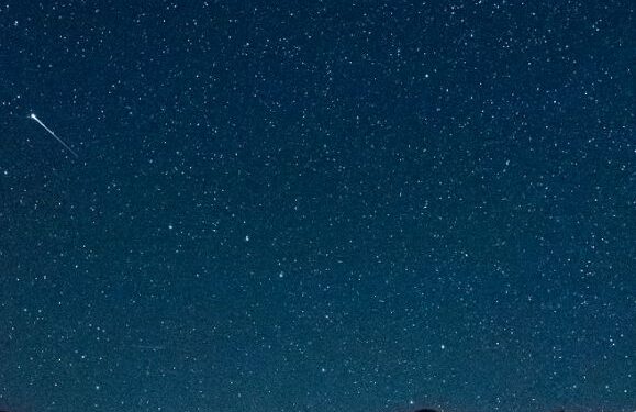 Catch a falling star