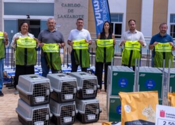 Cabildo supply Ayuntamientos with materials to manage cat colonies