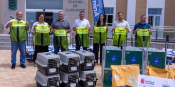 Cabildo supply Ayuntamientos with materials to manage cat colonies
