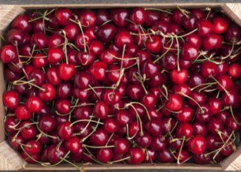 Cherry time of year!