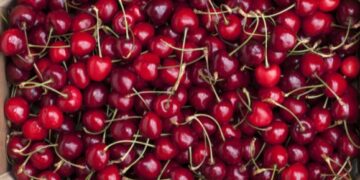 Cherry time of year!