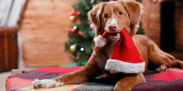 Christmas Tails