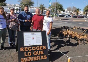 Cabildo installs cigarette vine and denounces littering