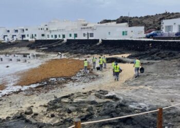 Cabildo removes over 60 tonnes of waste from the coastline