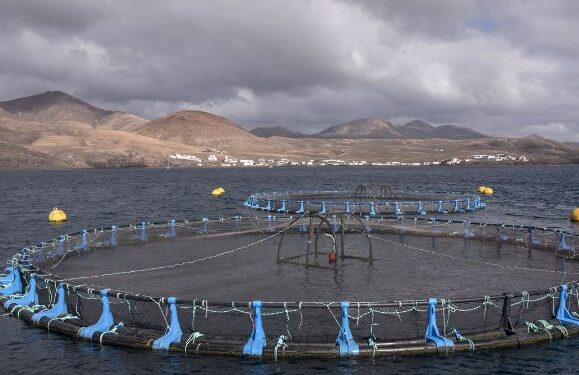 Fish farms controversy