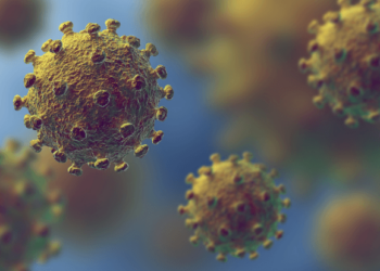 Your Coronavirus Q & A