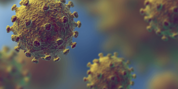 Your Coronavirus Q & A
