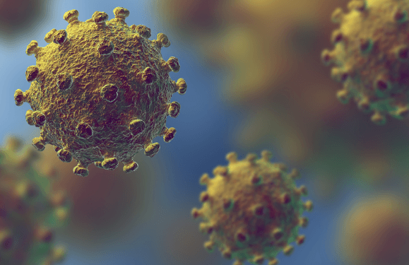 Your Coronavirus Q & A