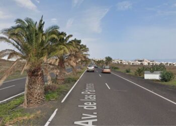 Costa Teguise palm tree pruning