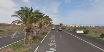 Costa Teguise palm tree pruning