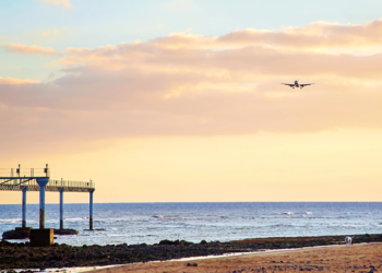 Canaries avoid new outbreaks