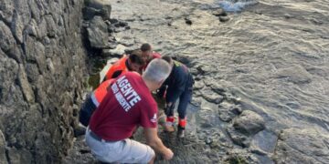 Turtle found dead at Arrecife