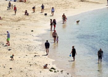 Death at Flamingo Beach