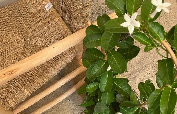 Decorando Lanzarote