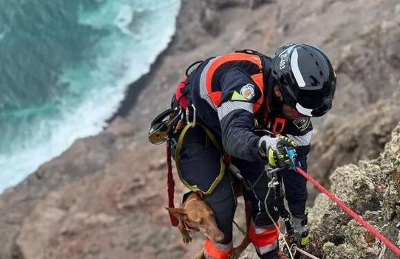 Trapped dog rescued on Famara cliffs