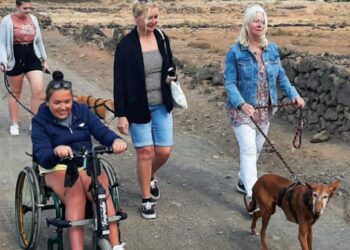 SARA Protectora dog walk