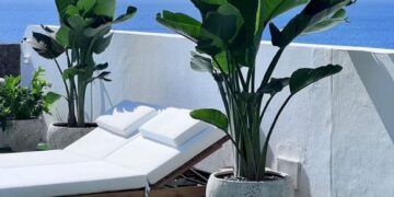 Attain the dream garden