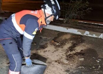 Driver runs off the road in Arrecife