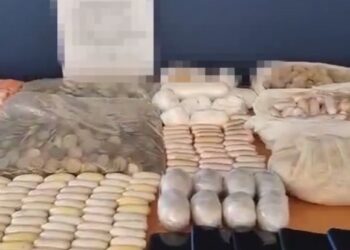 Thirteen arrested in drug bust
