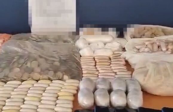 Thirteen arrested in drug bust