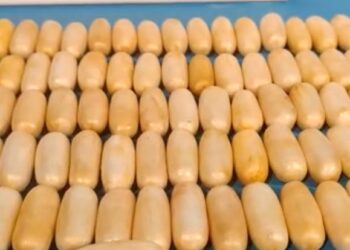 Drug mule arrested at airport