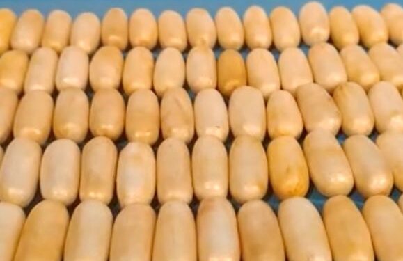 Drug mule arrested at airport