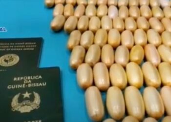 Drug mule arrested