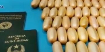Drug mule arrested