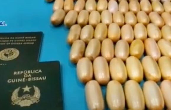 Drug mule arrested