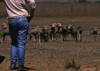 Dry Spell
