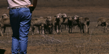 Dry Spell