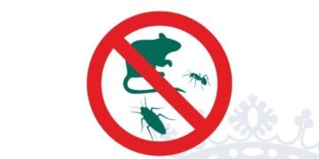 Tías Ayuntamiento pest extermination campaign