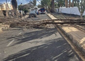 CC Yaiza calls for better crossings in Playa Blanca