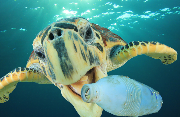 The fight against pollution