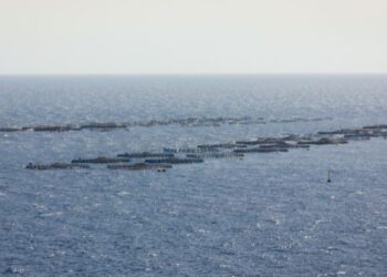 Fish farm project continues