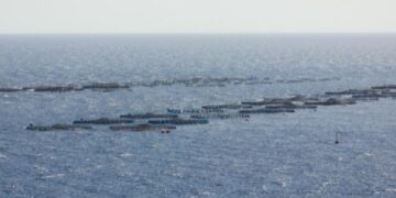 Fish farm project continues