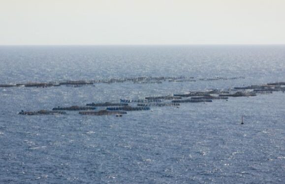 Fish farm project continues