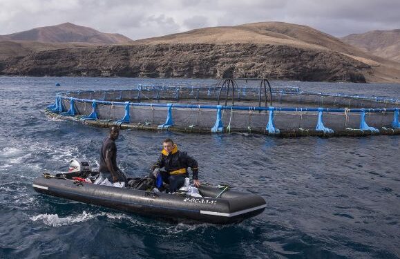 Fish farm closes