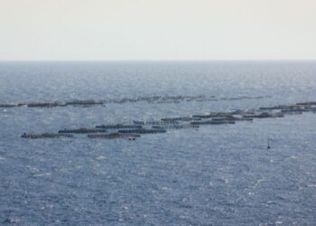 Sports clubs against fish farms