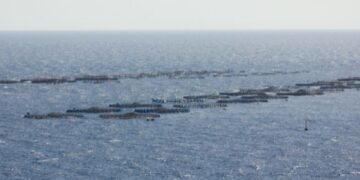 Sports clubs against fish farms