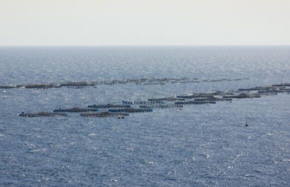 Sports clubs against fish farms