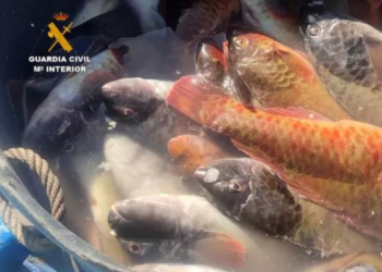 Fishermen caught with prohibited gear
