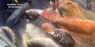 Fishermen caught with prohibited gear
