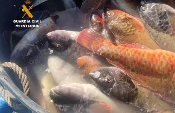 Fishermen caught with prohibited gear