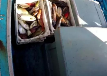 Fishermen caught with banned equipment