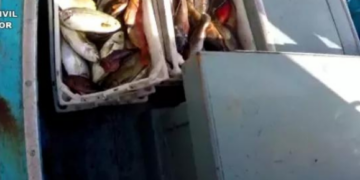Fishermen caught with banned equipment