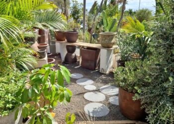 One of the most beautiful garden centres on Lanzarote