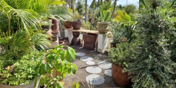 One of the most beautiful garden centres on Lanzarote